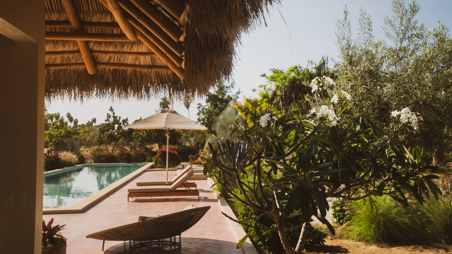 Rancho Cuatro Patas_Gallery_18
